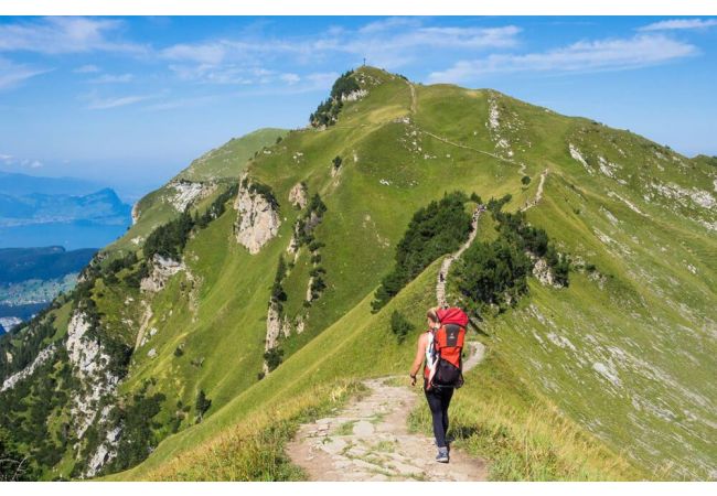 Bergwandelen